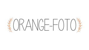 partner orange logo